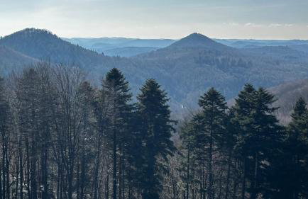 Ferienwohnung Weltachs - Foto 24