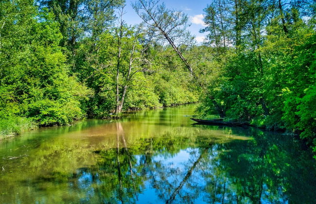 Ferienwohnungen beim Europapark Rust - Foto 65