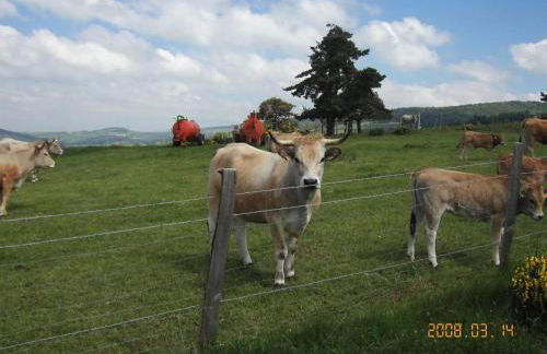 Maison charmante à Saint-Léger-les-Mélèzes avec jardin clôturé - Foto 14