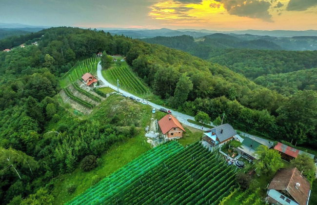 Luxury Vineyard Retreat Matej - Foto 21