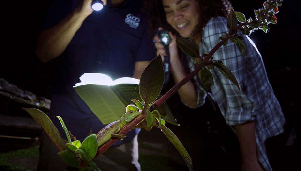 Trilha noturna pela selva