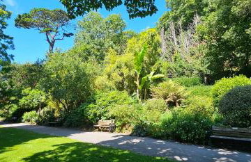 Shorebreak Apartment 2 - Foto 18