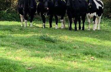 Church Farm, Legbourne Louth - Foto 40