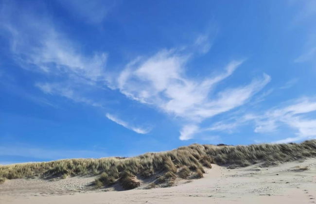 Cozy Chalet in Vrouwenpolder With Garden - Foto 34