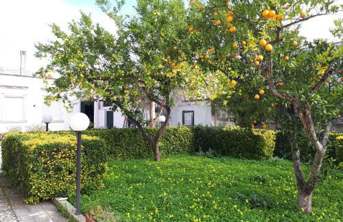 Villa Raffaela - Foto 13