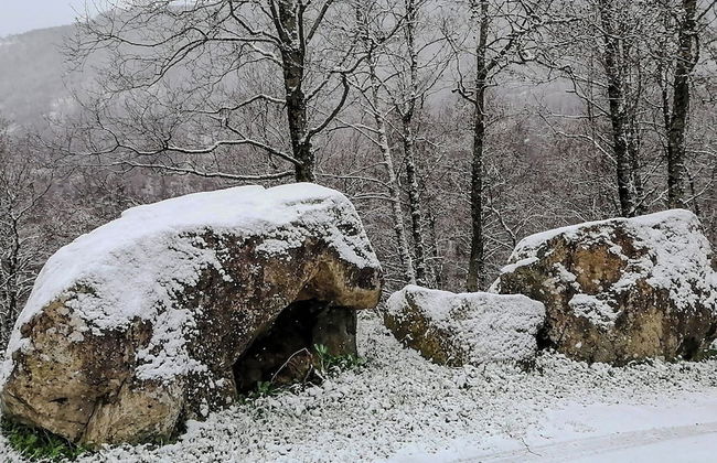 Villa Merola - Foto 51