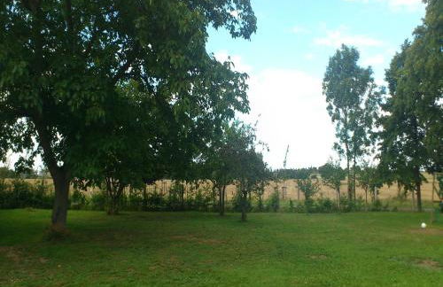 Charming Retreat, Ballenstedt - Foto 22