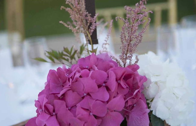 Finca Santa Barbara - Foto 45