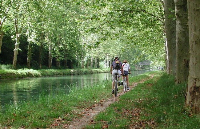 Detached Chalet With Dishwasher, on the Banks of the Lot - Foto 27