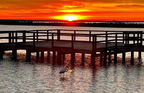 Thai Beach Residencial E, Private jacuzzi, Sea View, Rooftop, 50m to the beach - Foto 19