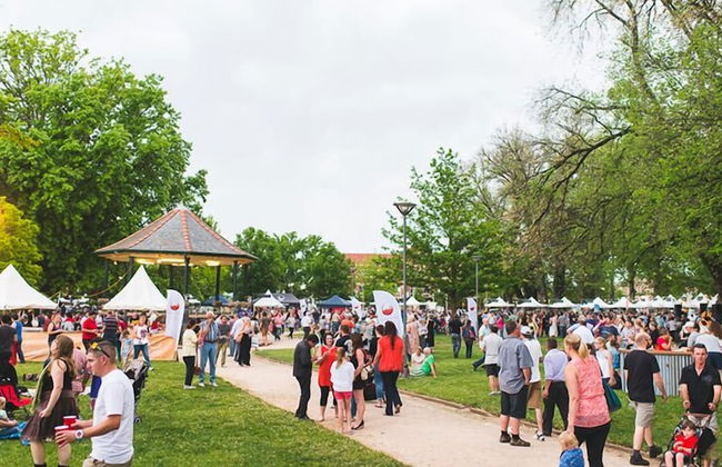 The Sampson - Orange - Foto 34