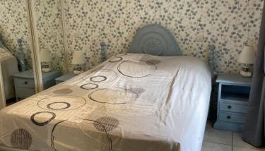 Gite Chez Manon et Pierre Salers - Foto 2