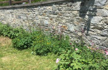 Le Roselend - Foto 30