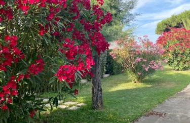 Studio sur plage avec piscine et balcon vue mer - Foto 20