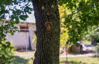 Palmira Apartments - Foto 71