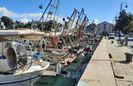 Old Harbour - Photo 19