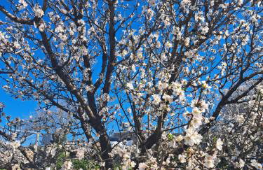 Ηλιοβασίλεμα - Foto 21