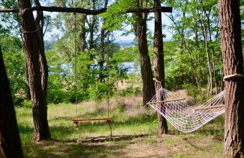 Rzeka i las - Photo 25