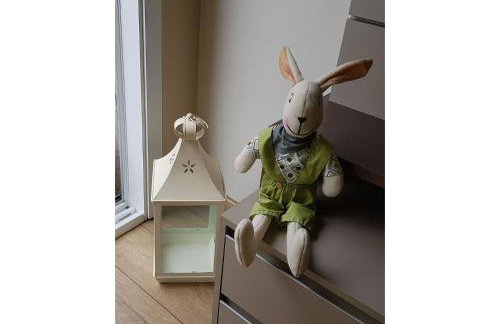 Hospeda Serra Gaúcha - Apto Capri - Foto 11