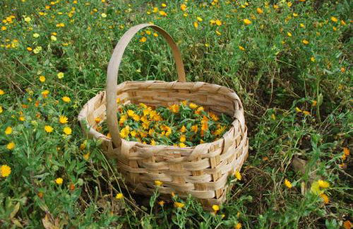 Casale Dionisia, Santa Maria di Castellabate - Foto 75