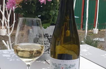 Stillvolle Designwohnung im historischen Zentrum - Foto 55