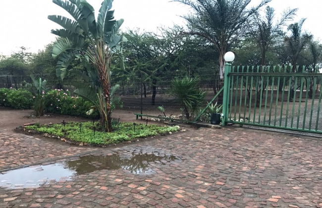 Our Place - Photo 32