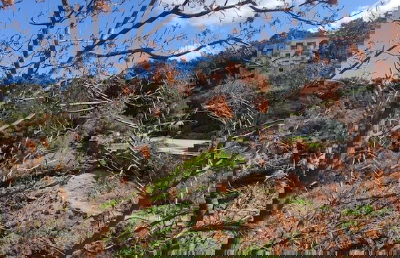 Nikos Apartments A4 in Gialiskari - Foto 17