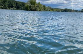 Ferienwohnung Altrip - Foto 12