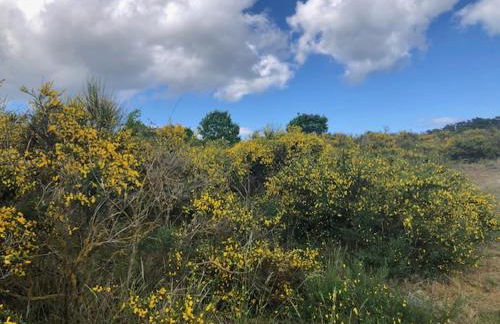 Ferienwohnung Flieder 1 - Foto 13