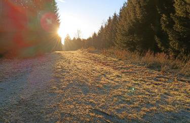 Dorfliebe Reicherstein - Foto 30