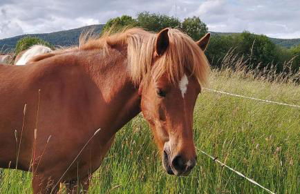 Studio Kaline - Foto 29