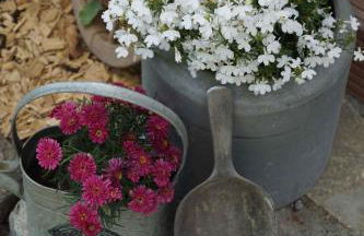 Holiday Homes Garz - Rügen - Insel Rügen 3052 - Foto 9