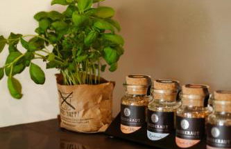 Loft-Apartment - Bestlage am Kurpark mit Terrasse - kostenloses Parken - Küche - Netflix - Waschmaschine - Foto 54