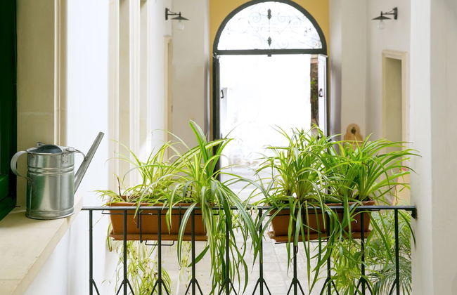 B&B Dimora San Vincenzo - Photo 3