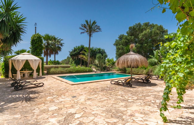 Moli de Son Vidal - Foto 29