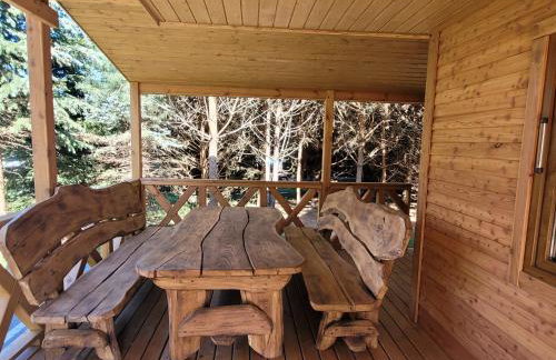 Dom pod brzozą-urowo - Foto 22