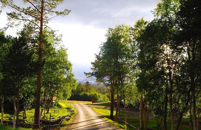 Furuheim Gard - Foto 19