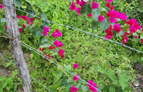 Chalé romântico, com vista panorâmica, para Casais - Foto 22