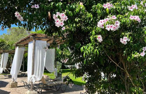 Masseria Casina Montana - Foto 15