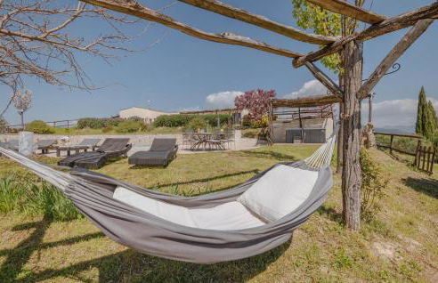 Blue Cherry - Foto 17