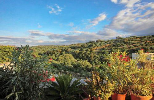 Cretan Traditional Home - Photo 20