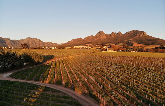 Eikendal Lodge - Photo 39