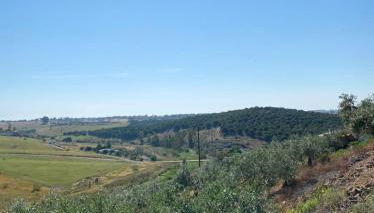 Zena Houses - Foto 2