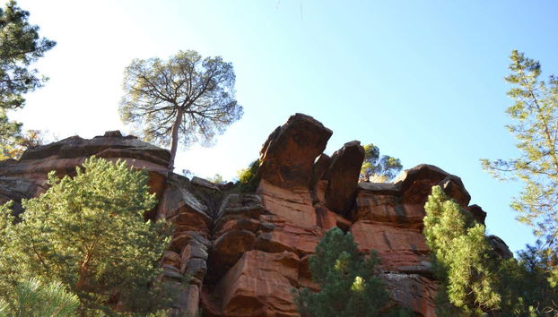 Tour por las pinturas rupestres de los Pinares de Rodeno - Photo 5