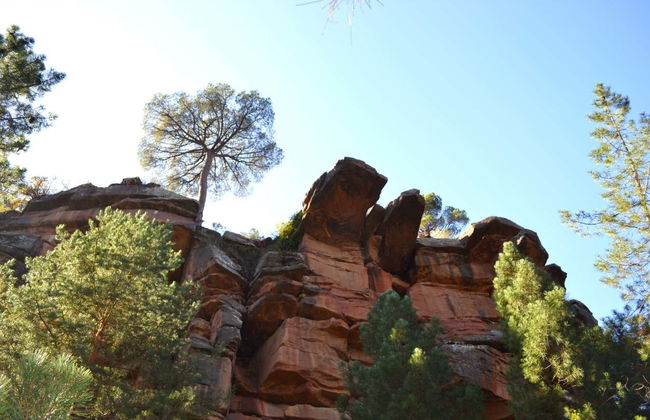 Visite des peintures rupestres de Pinares de Rodeno - Photo 5