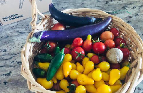 Amazing Loft on Horse Ranch - Foto 40