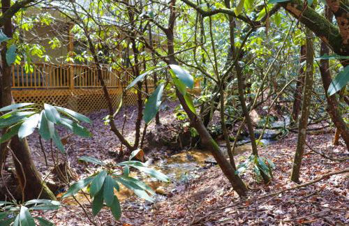 Secluded Lavinder Laurel Leaf Cottage Near Creek - Foto 35