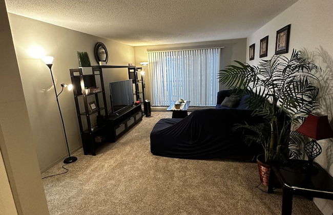 New-20p off-Uptown Love MPLS next to Fun - Foto 33