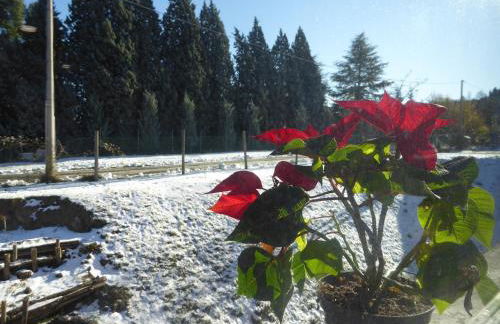 Agriturismo Tenuta Bettozza - Foto 17