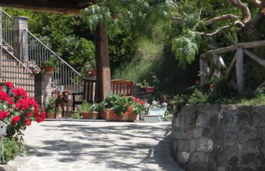 Agriturismo L'Olivara - Foto 15